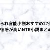 寝取られ官能小説おすすめ27選。背徳感が高いNTR小説まとめ